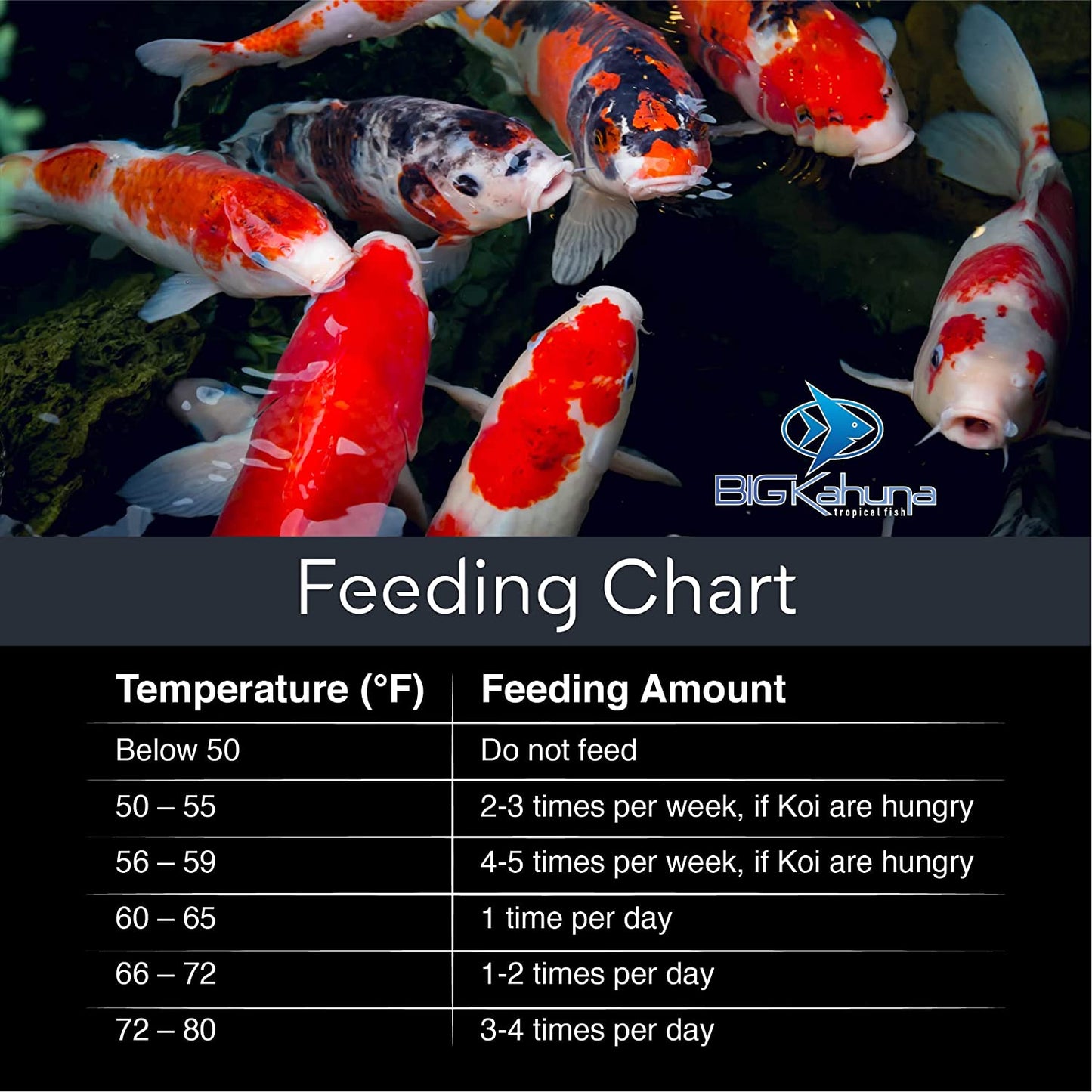 4 LBS FLOATING KOI FISH FOOD